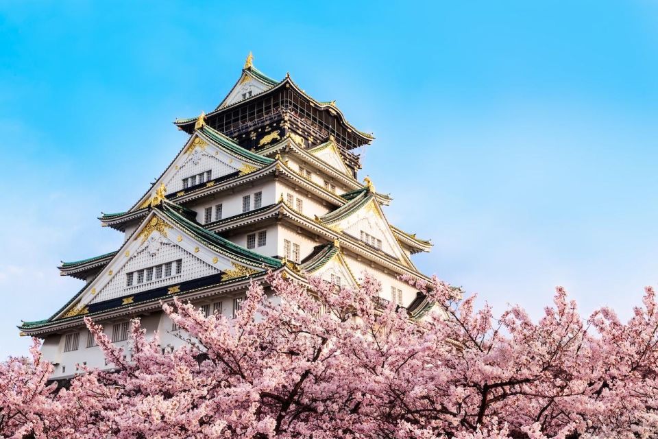 Highlights & Hidden Gems of Osaka Private Tour - Landmark Visits & Local Gems
