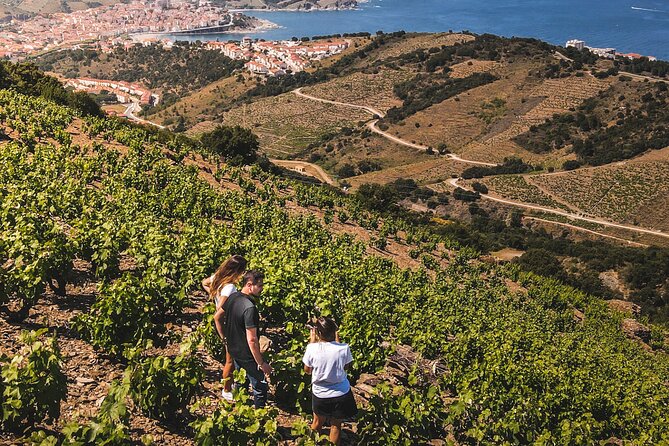 Hiking in the Vineyard in Banyuls-sur-Mer - Booking and Contact Information