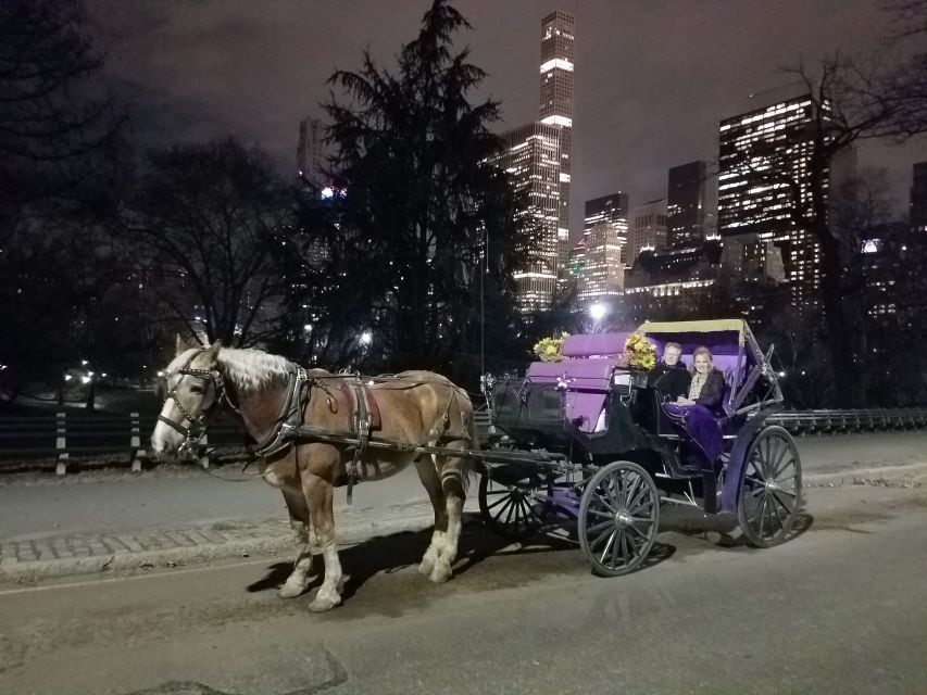 Horse and Carriage Rides Central Park - Inclusions