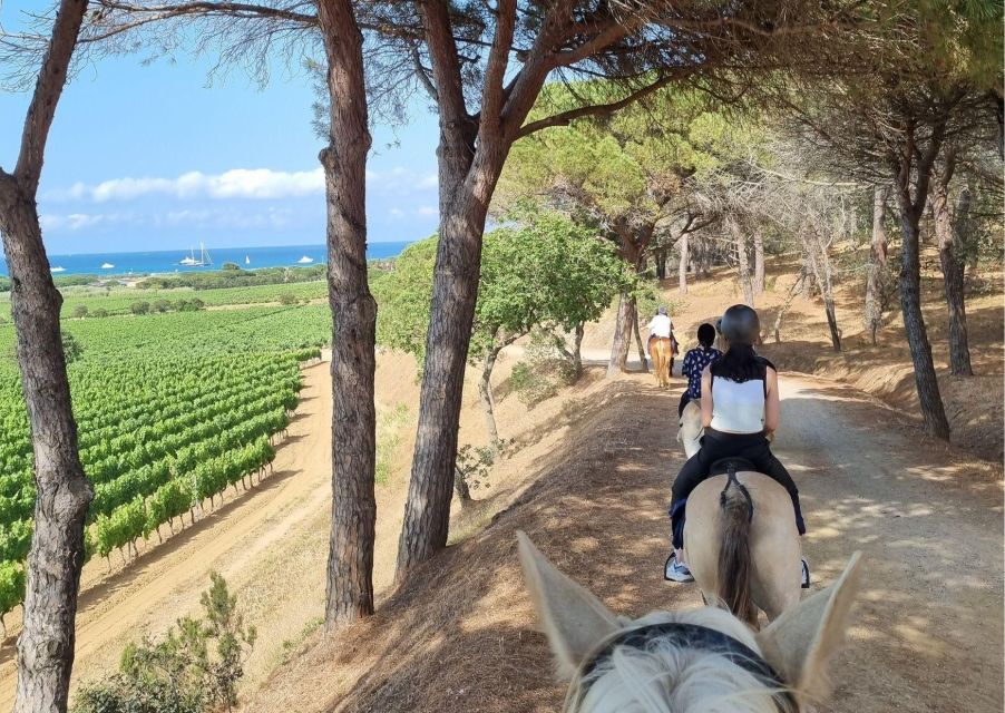 Horse Back Riding + Wine Tasting in Ramatuelle - Itinerary