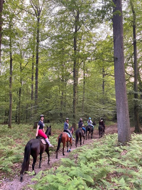 Horse Rental Tour Near Paris - Experience Description