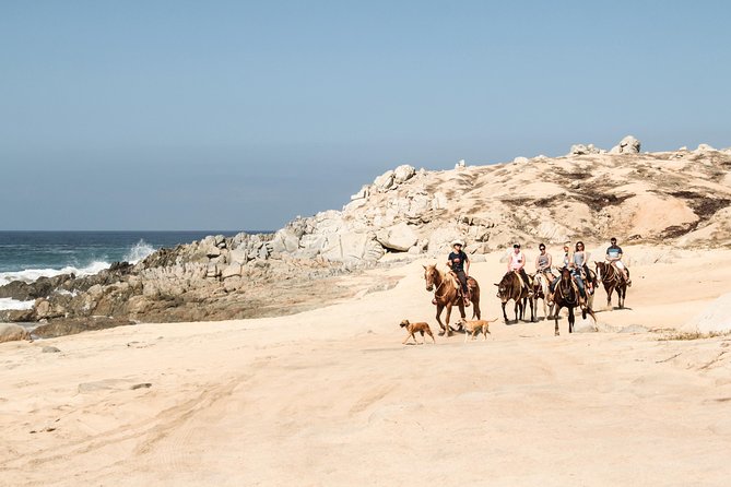 Horseback Riding Tour in Cabo San Lucas - Reviewer Experiences