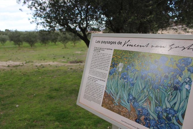 In the Footsteps of Van Gogh in Provence From Avignon - Expert Guide and Free Time