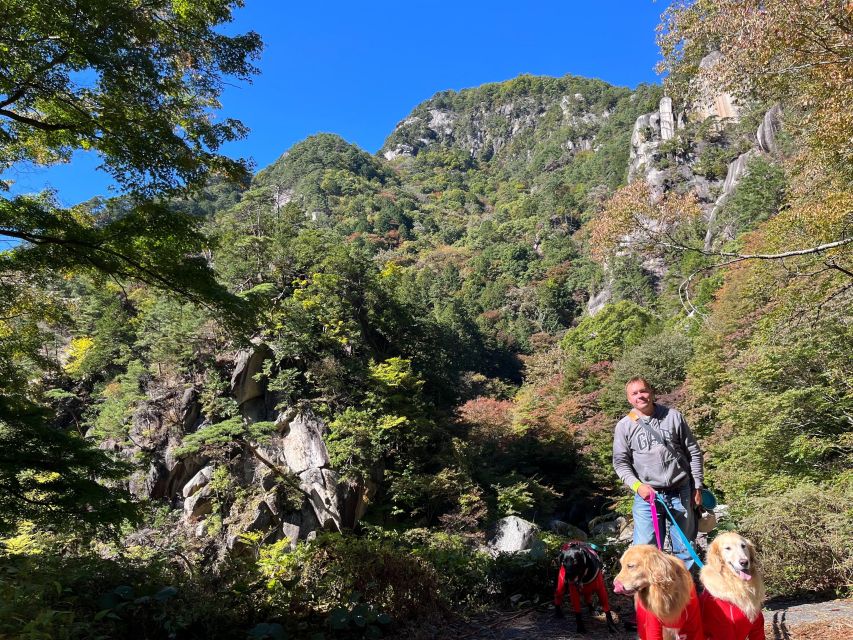 Kamakura Half Day Tour With a Local - Tour Description