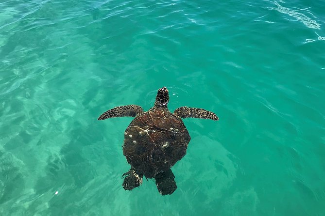 Kaneohe Bay Kayak Rental (Two-Person Kayak) - Booking Confirmation and Requirements