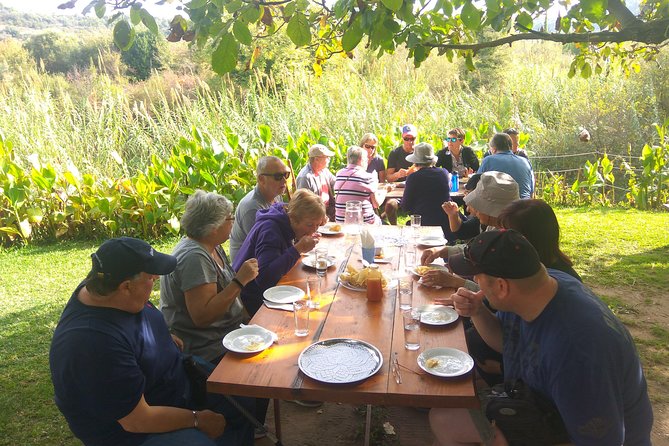 Katakolon Shore Excursion: Ancient Olympia Plus Honey Farm & Olive Oil Tasting - Booking Information