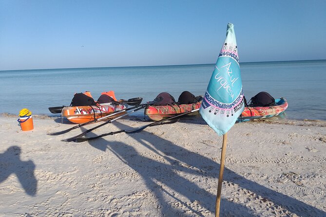 Kayak Experience in the Mangroves of Holbox - Overall Experience Highlights