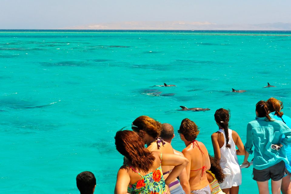 Key West Sandbar Excursion & Dolphin Tour Includes Beer Wine - Booking Information