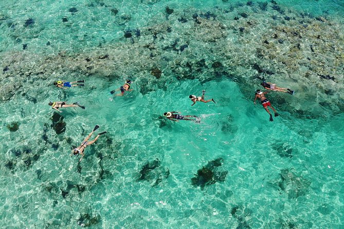 Key West Sunset Snorkel With Unlimited Draft Beer & Wine - Socialize With Participants