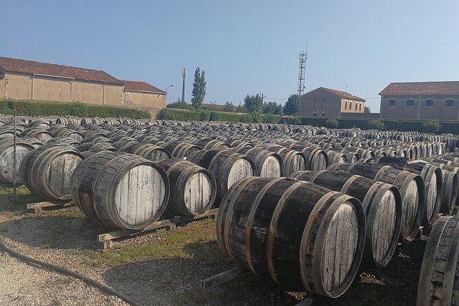 Les Baux De Provence: Wine Day Tour: 8 Hours - Local Wineries Explored