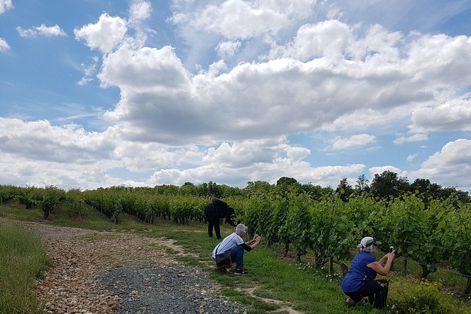 Loire Valley Half Day Wine Tour From Tours : Vouvray Wine Tasting - Guide Interactions