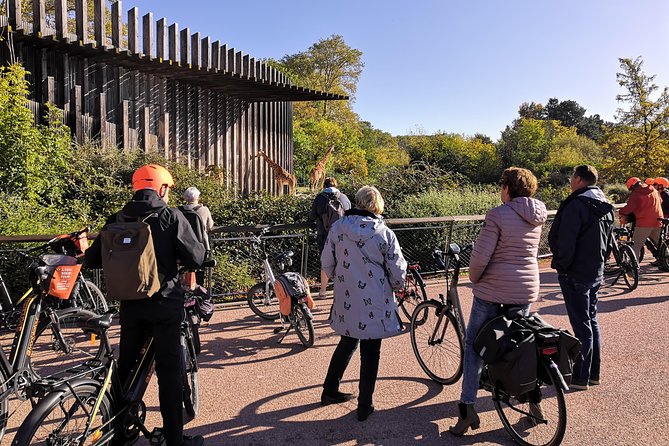 Lyon Small-Group Guided Electric Bike Tour With a Local Guide - Traveler Experience