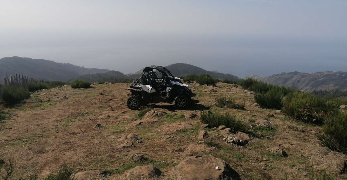 Madeira: Half-Day Off-Road Buggy Tour - Customer Reviews