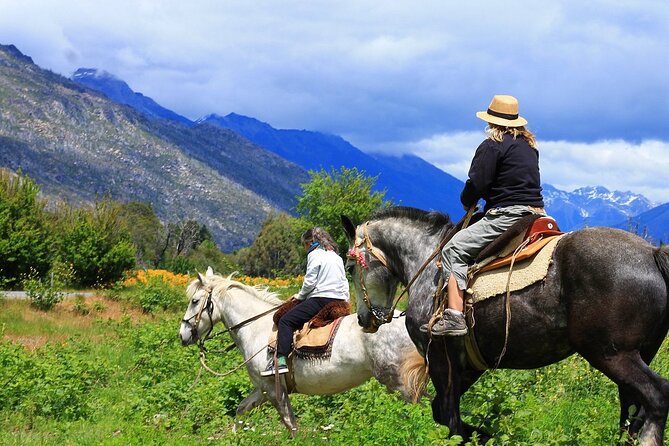 Medellin: Horseback Riding Adventure In Nature (Dont Overpay) - Traveler Reviews Insights