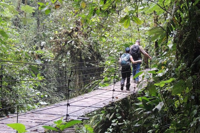 Mindo Cloud Forest Private Day Tour - Tour Guides and Activities