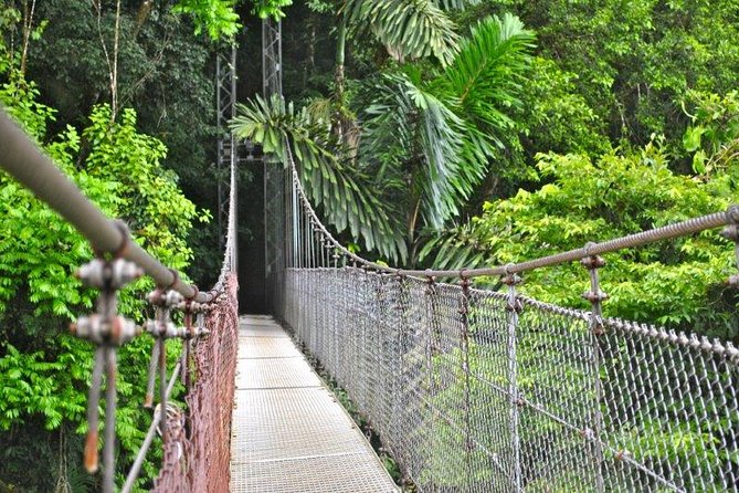 Mistico Hanging Bridges Park From La Fortuna - Safety Measures