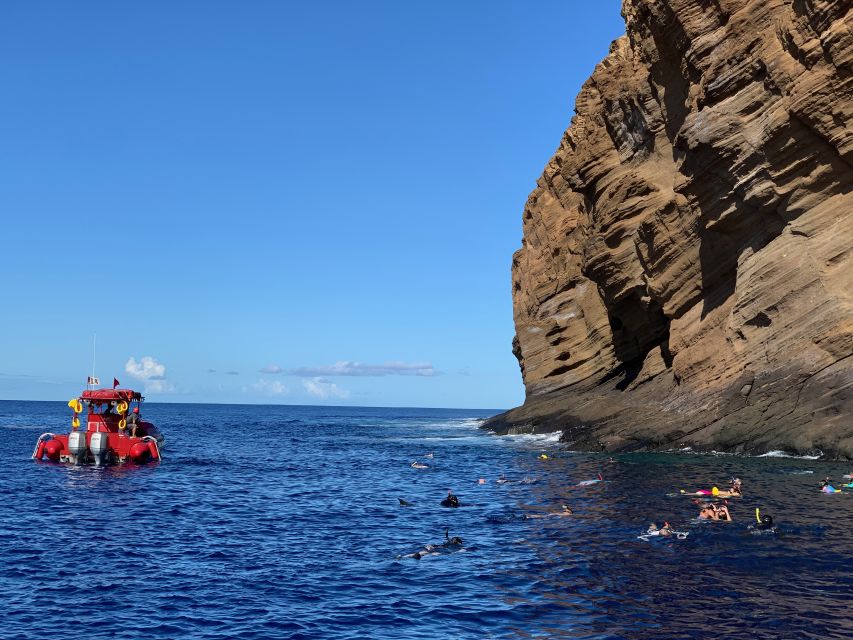 Molokini Snorkel & South Maui Coast Tour - Activity Highlights