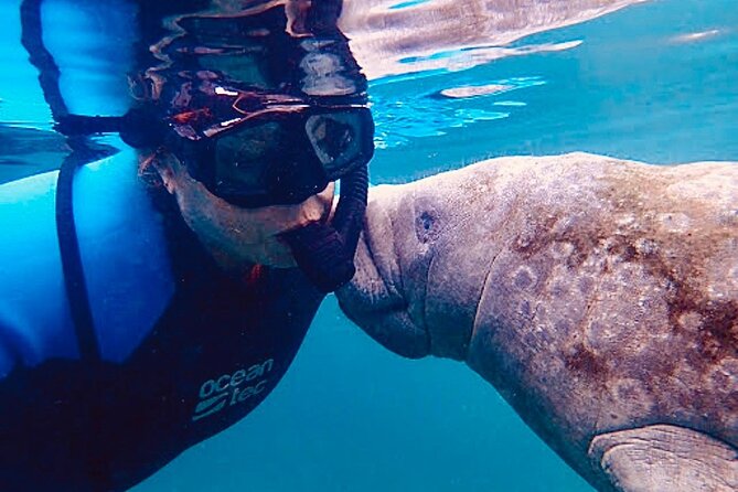 Morning Swim and Snorkel With Manatees-Guided Crystal River Tour - Cancellation Policy