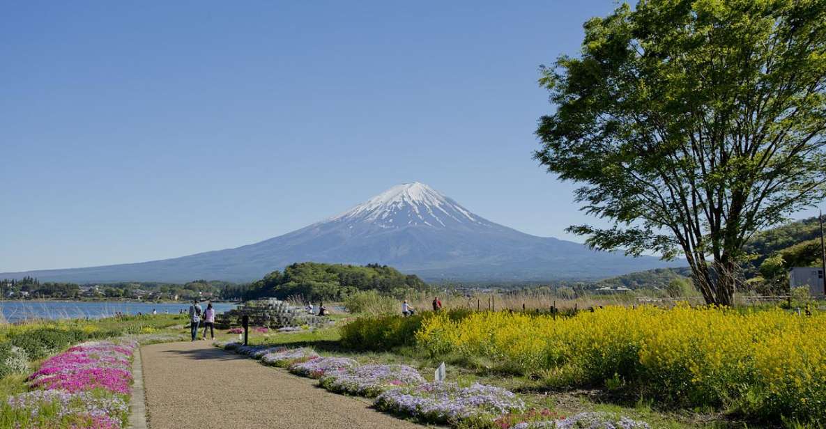 Mount Fuji Full Day Private Tour (English Speaking Driver) - Mount Fuji Information