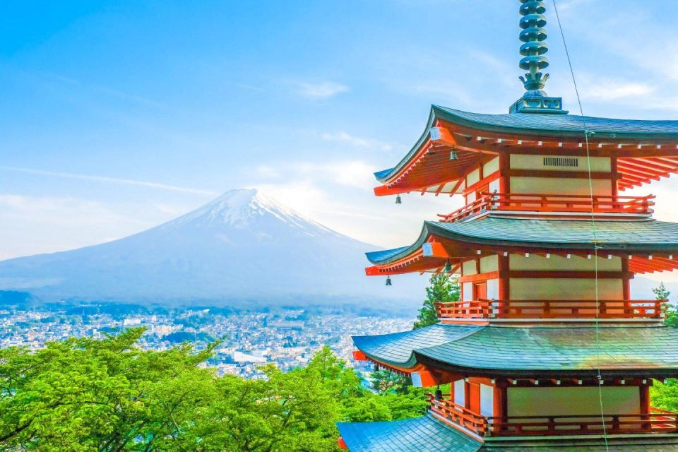 Mount Fuji Panoramic View & Shopping Day Tour - Food and Weather Guidelines