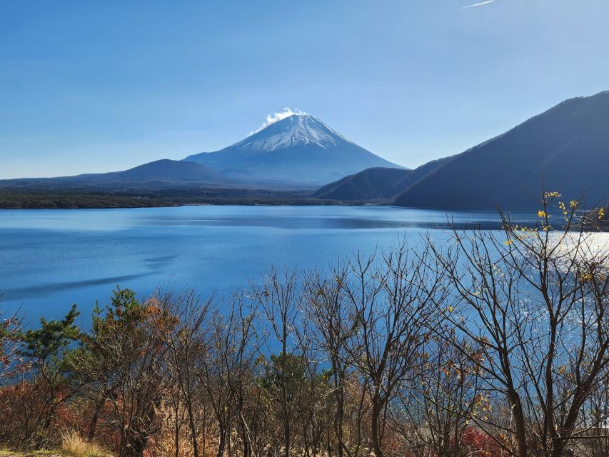 Mt Fuji and Hakone Private Tour With English Speaking Driver - Tour Highlights and Attractions