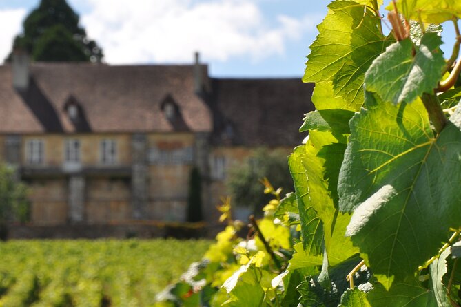 Multi Day Private Tour Prestige Burgundy With 12 Premiers & Grands Crus - Reviews and Ratings