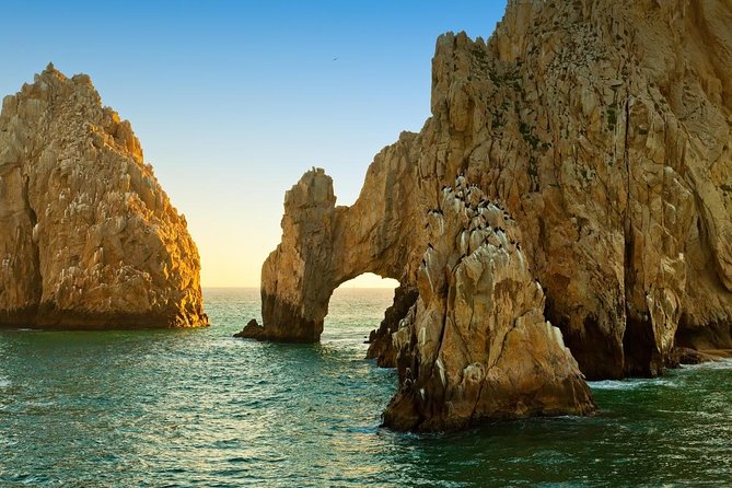 Must-Do Tour to the Arch in the Bay in the Only Clear Boat CABO - Customer Reviews