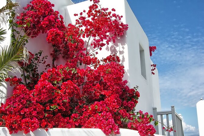 Mykonos Small-Group Tour With Mykonian Guide - Customer Reviews and Feedback