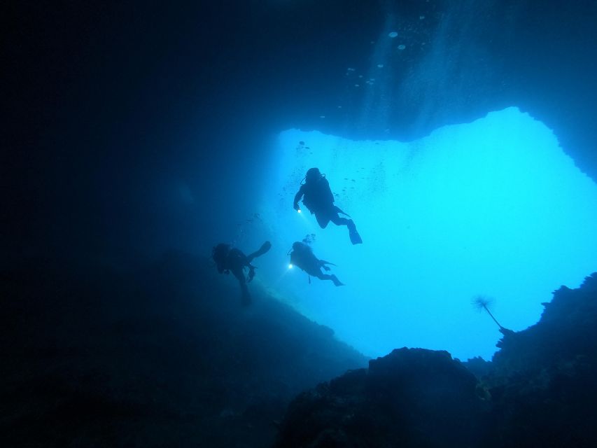 Naxos: Discover Scuba Dive With Nima Dive Center - Customer Testimonial