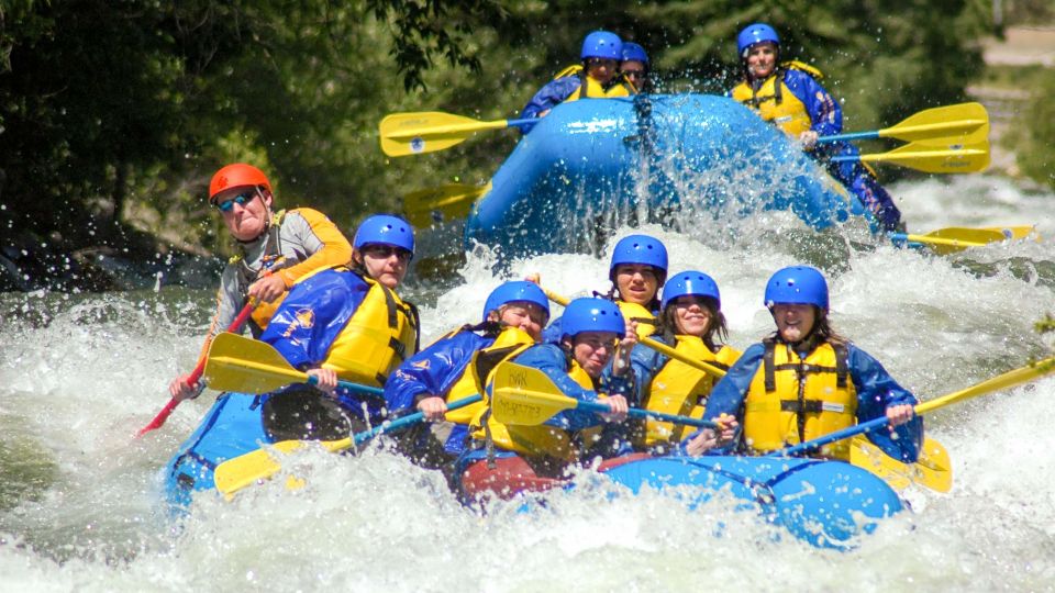 Near Denver: Clear Creek Intermediate Whitewater Rafting - Booking Information and Policies