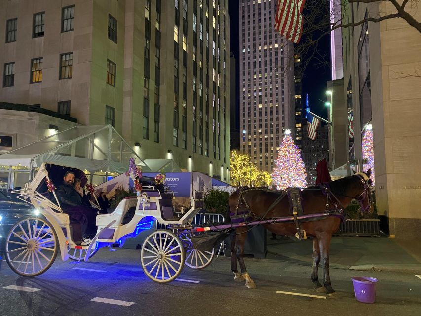 NYC: Guided Central Park Horse Carriage Ride - Customer Reviews