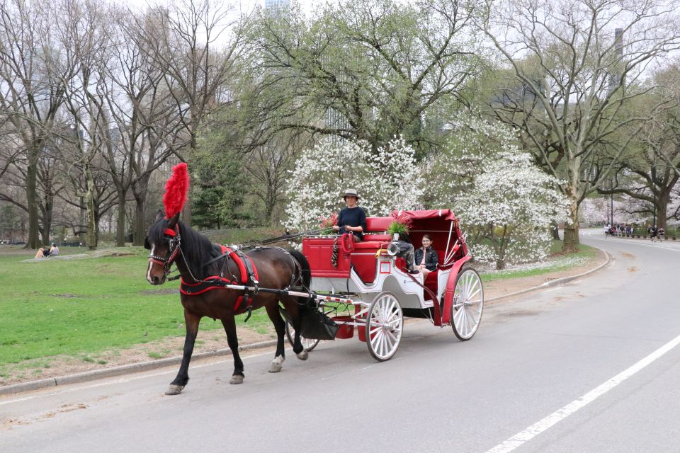 NYC: Guided Standard Central Park Carriage Ride (4 Adults) - Ride Details