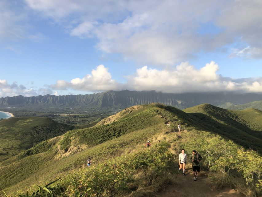 Oahu: Manoa Falls Hike and East Side Beach Day - Important Details