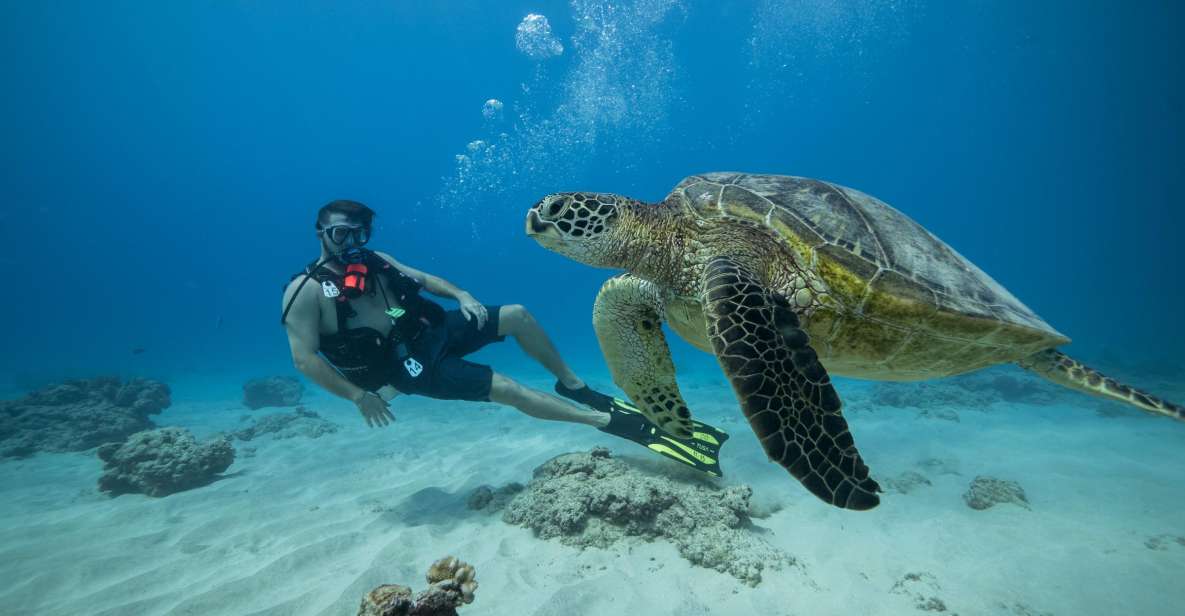 Oahu: Waikiki Discovery Scuba Diving for Beginners - Review Summary