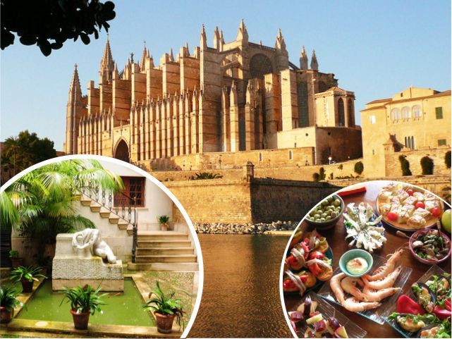 Palma De Mallorca: Guided Tour of the Old Town - Tour Highlights