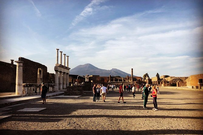 Pompeii & Vesuvius With Lunch & Wine Tasting From Positano - Logistics and Itinerary Details