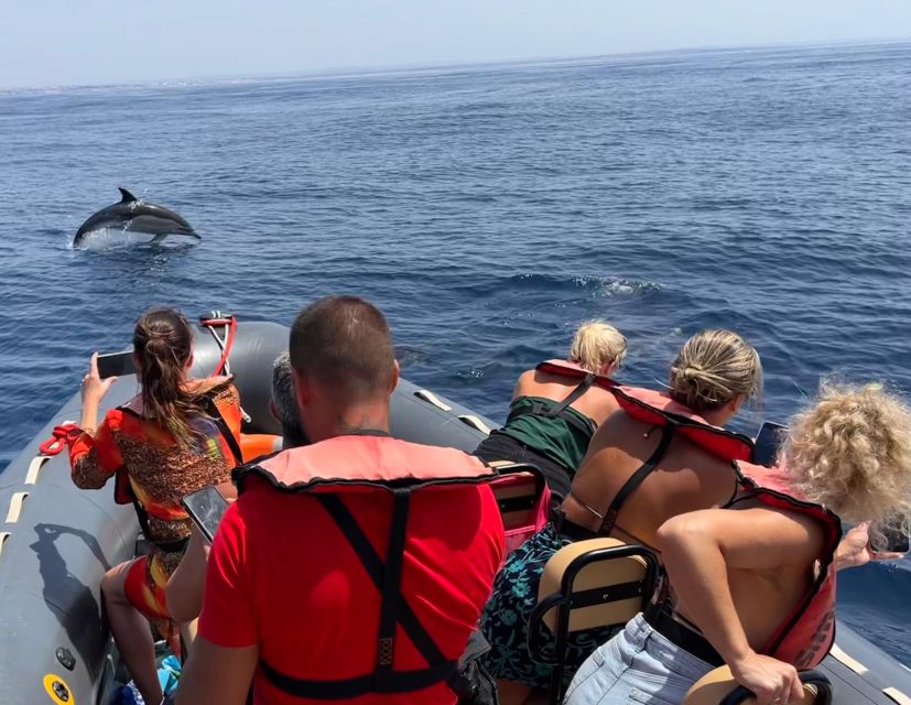 Portimão: Dolphins and Marine Life Boat Tour With Biologist - Experience Highlights and Inclusions