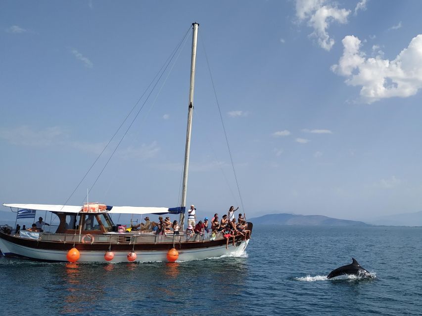 Preveza: Dolphin Watching Cruise With Lunch and Drinks - Duration and Language