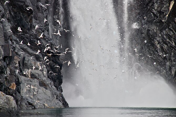 Prince William Sound Glacier Cruise  - Anchorage - Cancellation Policy