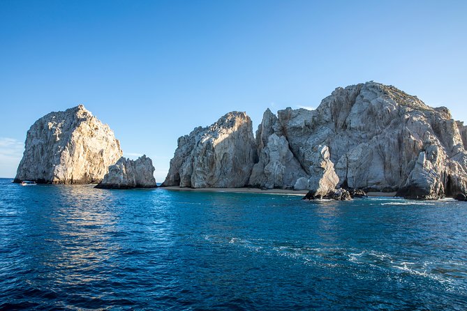 Private Day Trip to San José & Cabo San Lucas - Whale Watching Experience Details