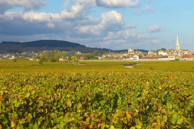 Private Guided Sidecar Tour in Burgundy From Meursault - Pricing Information