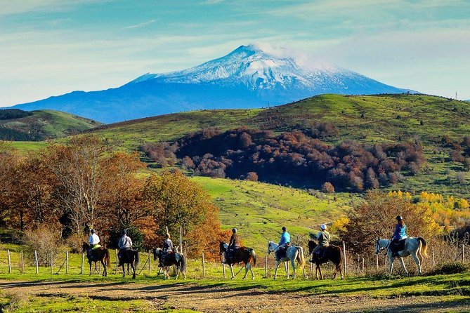 Private Horseback Riding Tour in Sicilian Countryside Tradional Lunch - Cancellation Policy Details