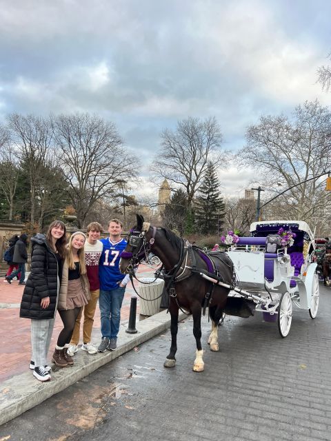 Private NYC Lights or Christmas Lights Horse Carriage Tour - Private Group and Starting Location