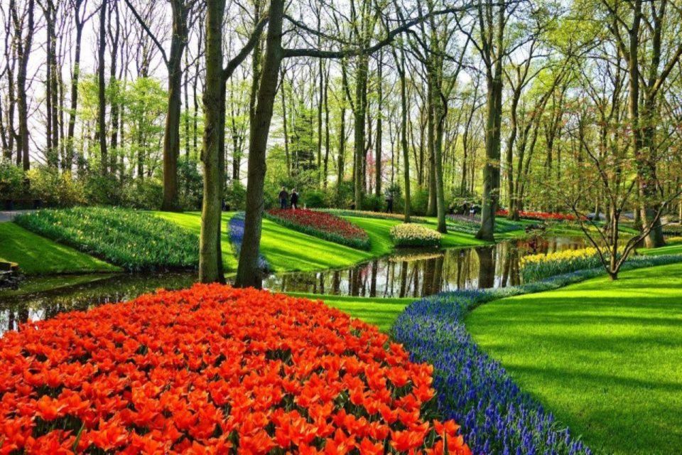 Private Tour to Tulips, Keukenhof, Windmills & Cheese Farm - Tour Details