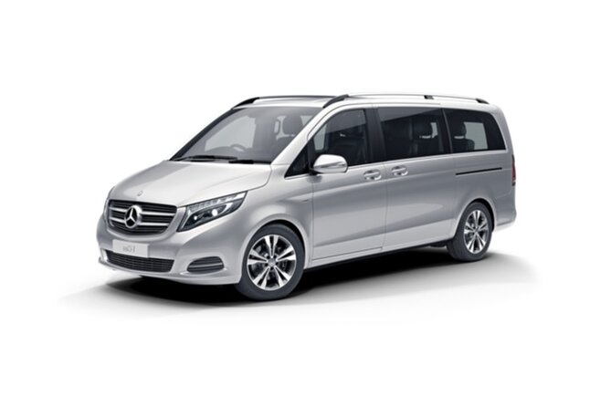 Private Transfer From Sorrento to Naples Airport or Station - Pickup and Drop-off