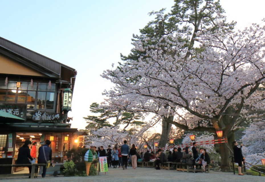 Private & Unique Kanazawa Cherry Blossom "Sakura" Experience - Detailed Experience Description
