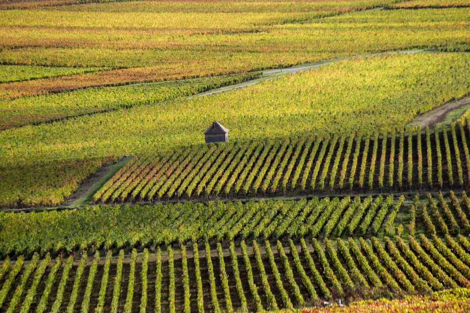 Private Wine Tour in Côte De Nuits and Côte De Beaune - Inclusions