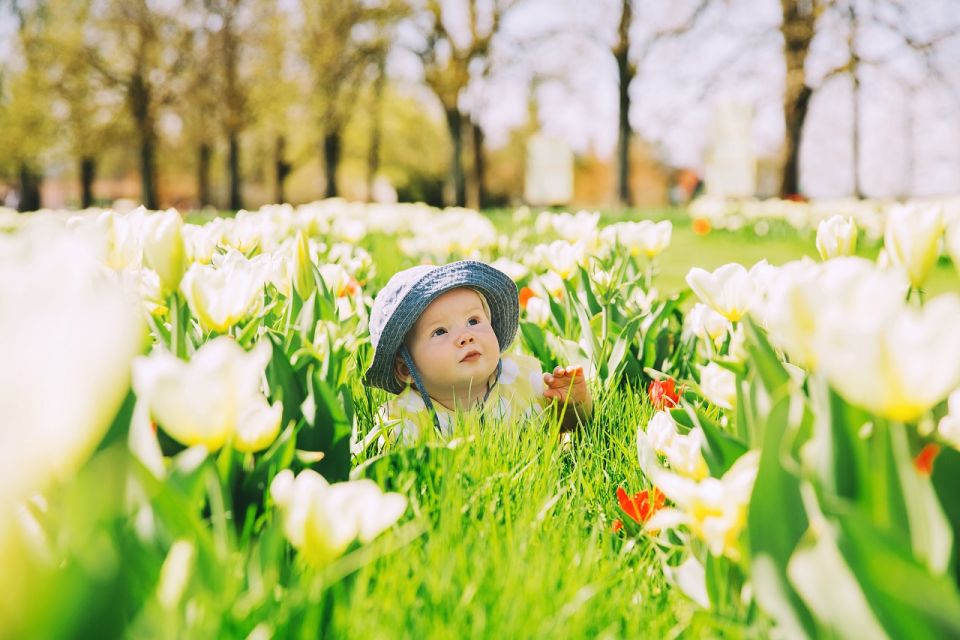 Professional Outdoor Baby Photoshoot in Amsterdam - Booking Information and Pricing