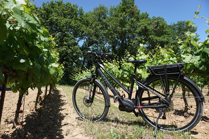 Provence and Wine Tasting by E-Bike From Saint-Rémy-De-Provence - Pricing and Booking Details