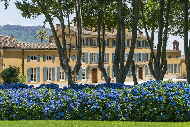 Provence Wine Small Group Day Tour From Nice With Tastings & Lunch - Guides Expertise